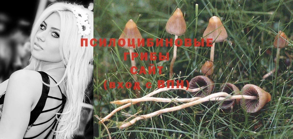 эйфоретик Лихославль