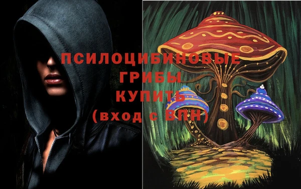 эйфоретик Лихославль